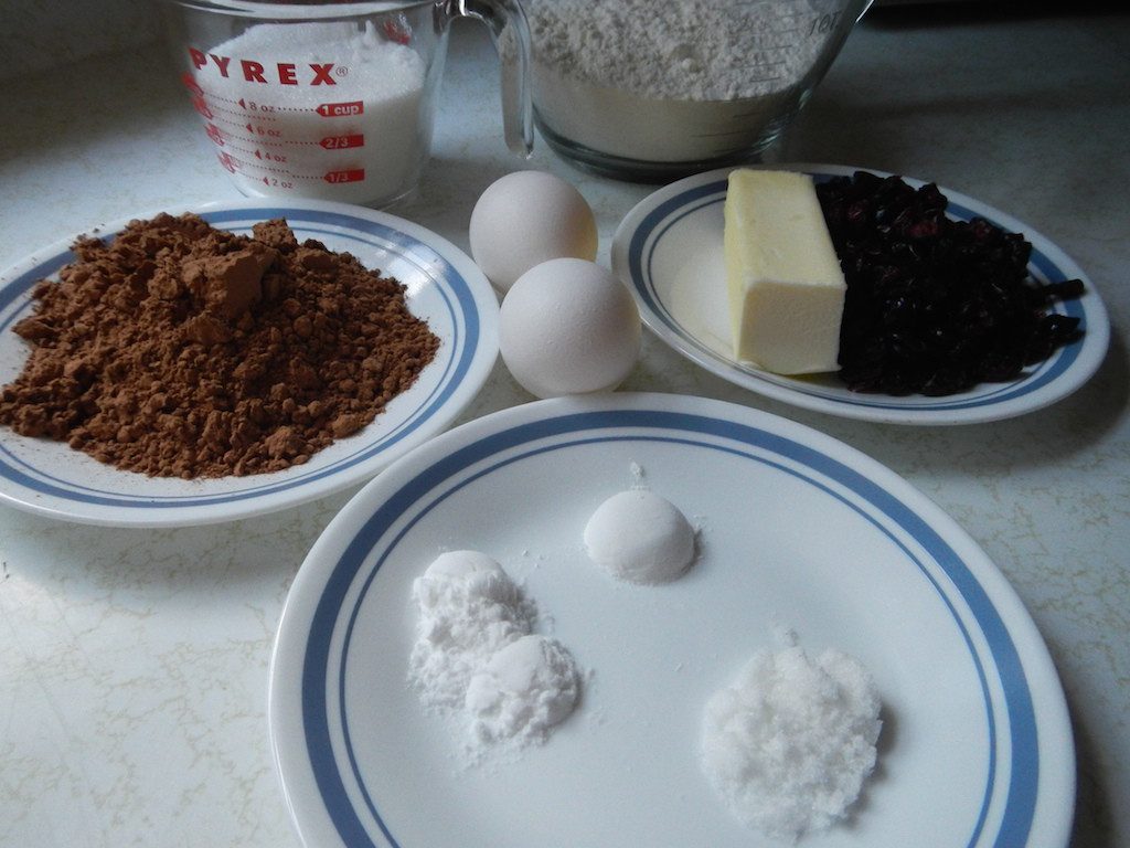 Chocolate Biscotti 08