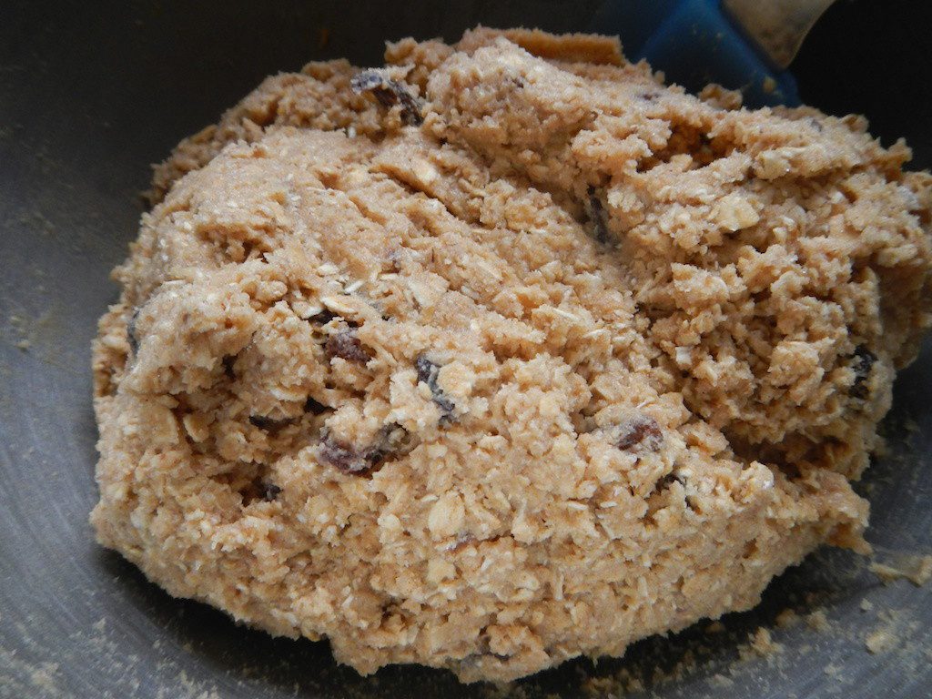 Oatmeal Raisin 16