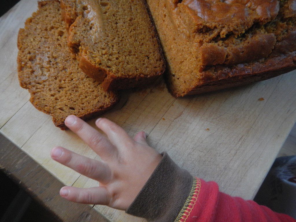 Easy Pumpkin Bread