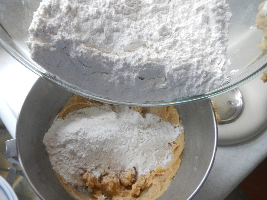 White chocolate macadamia nut cookie