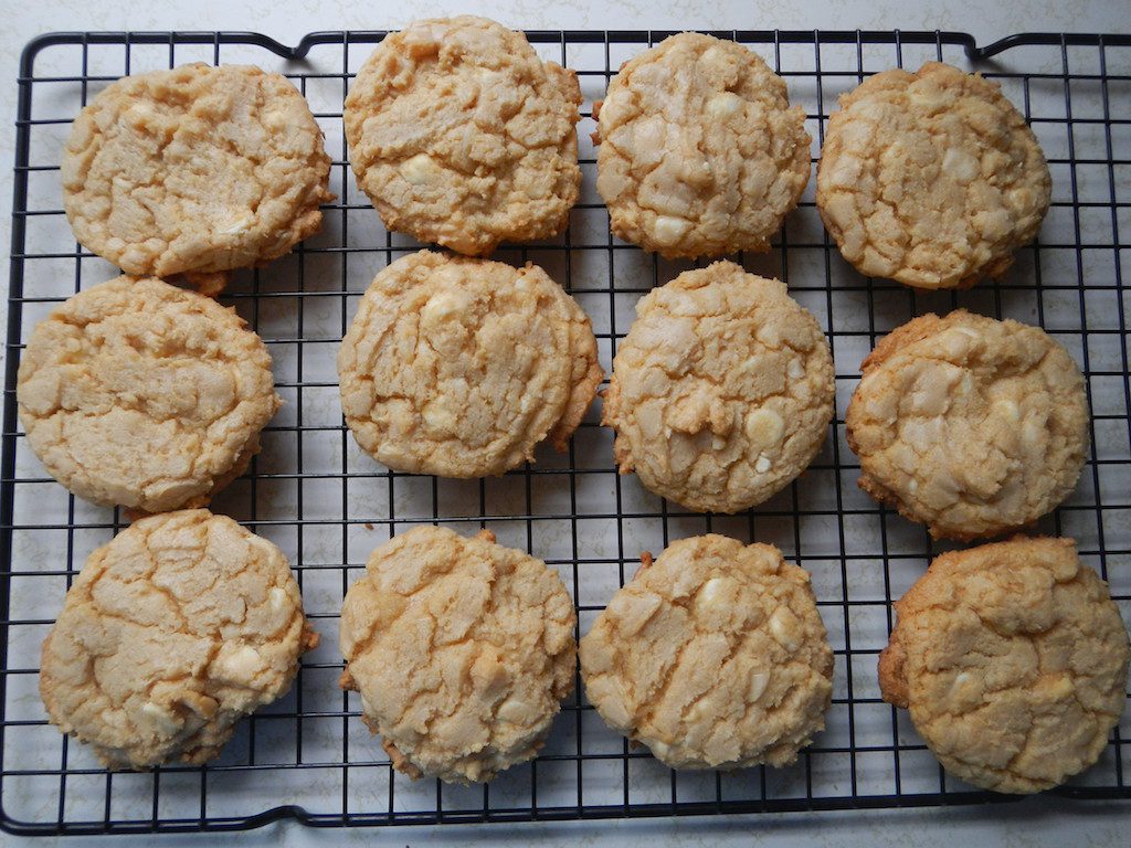 White chocolate macadamia nut cookie