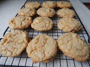 White chocolate macadamia nut cookie
