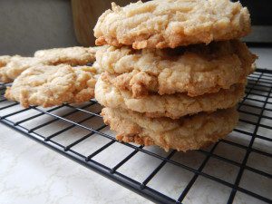 White chocolate macadamia nut cookie